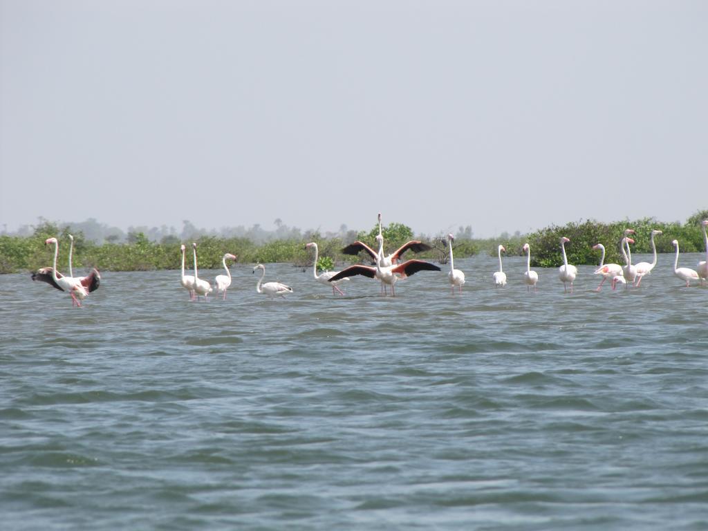 Bazouk Du Saloum Ecolodge Mar Lodj Экстерьер фото